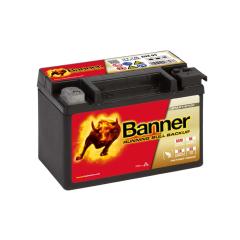 Backup-/Stützbatterie - 12V - 9Ah